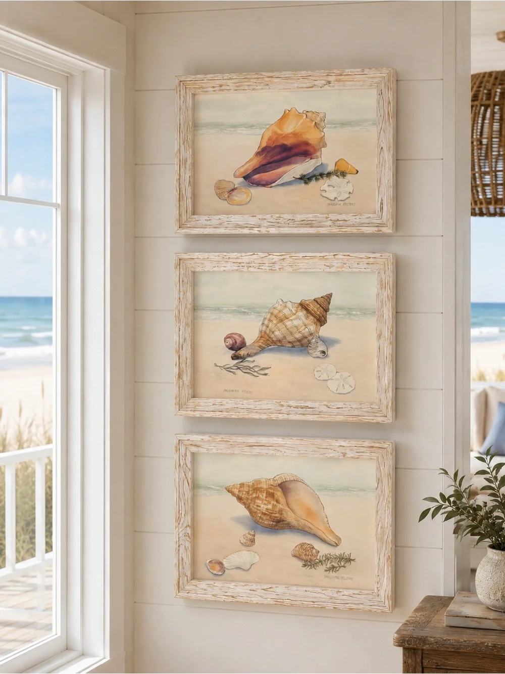 Barbara Fleri Seashell Prints | Set of 3 | Coastal Beach Wall Art